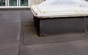 disadvantages of Runhall flat roofs