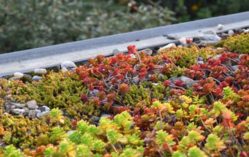 the cost of Runhall green roof installation